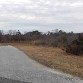 Review photo of Assateague State Park Campground by Jean C., July 30, 2021