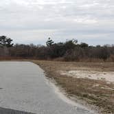 Review photo of Assateague State Park Campground by Jean C., July 30, 2021