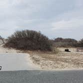 Review photo of Assateague State Park Campground by Jean C., July 30, 2021