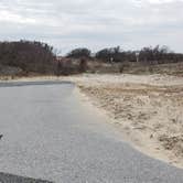 Review photo of Assateague State Park Campground by Jean C., July 30, 2021