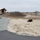 Review photo of Assateague State Park Campground by Jean C., July 30, 2021