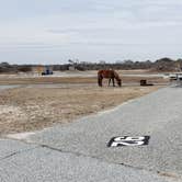 Review photo of Assateague State Park Campground by Jean C., July 30, 2021