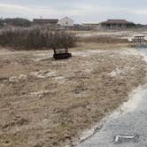 Review photo of Assateague State Park Campground by Jean C., July 30, 2021