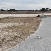 Review photo of Assateague State Park Campground by Jean C., July 30, 2021