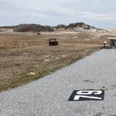 Review photo of Assateague State Park Campground by Jean C., July 30, 2021