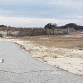 Review photo of Assateague State Park Campground by Jean C., July 30, 2021