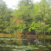 Review photo of Brunet Island State Park Campground by Lisa J., June 17, 2018