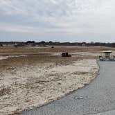 Review photo of Assateague State Park Campground by Jean C., July 30, 2021