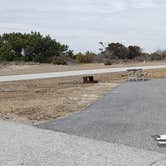 Review photo of Assateague State Park Campground by Jean C., July 30, 2021