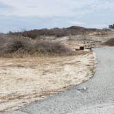 Review photo of Assateague State Park Campground by Jean C., July 30, 2021