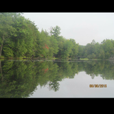 Review photo of Brunet Island State Park Campground by Lisa J., June 17, 2018
