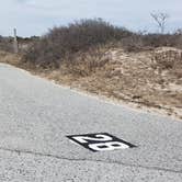 Review photo of Assateague State Park Campground by Jean C., July 30, 2021