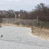 Review photo of Assateague State Park Campground by Jean C., July 30, 2021