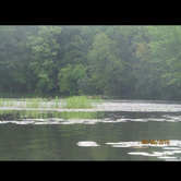 Review photo of Brunet Island State Park Campground by Lisa J., June 17, 2018