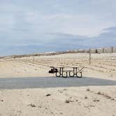 Review photo of Assateague State Park Campground by Jean C., July 30, 2021