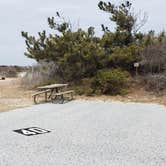 Review photo of Assateague State Park Campground by Jean C., July 30, 2021