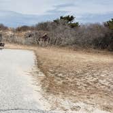 Review photo of Assateague State Park Campground by Jean C., July 30, 2021