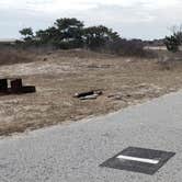 Review photo of Assateague State Park Campground by Jean C., July 30, 2021