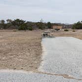 Review photo of Assateague State Park Campground by Jean C., July 30, 2021