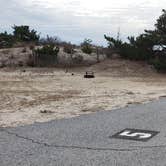 Review photo of Assateague State Park Campground by Jean C., July 30, 2021