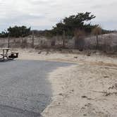 Review photo of Assateague State Park Campground by Jean C., July 30, 2021