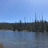 Review photo of Headwaters Campground at Flagg Ranch — John D. Rockefeller, Jr., Memorial Parkway by Lisa J., June 17, 2018