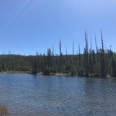 Review photo of Headwaters Campground at Flagg Ranch — John D. Rockefeller, Jr., Memorial Parkway by Lisa J., June 17, 2018