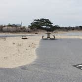 Review photo of Assateague State Park Campground by Jean C., July 30, 2021