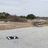 Review photo of Assateague State Park Campground by Jean C., July 30, 2021