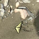 Review photo of Headwaters Campground at Flagg Ranch — John D. Rockefeller, Jr., Memorial Parkway by Lisa J., June 17, 2018