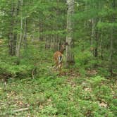 Review photo of Hadley's Point Campground by Tucker B., July 30, 2021