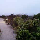 Review photo of Moro Campground — Crystal Cove State Park by Rick S., July 30, 2021