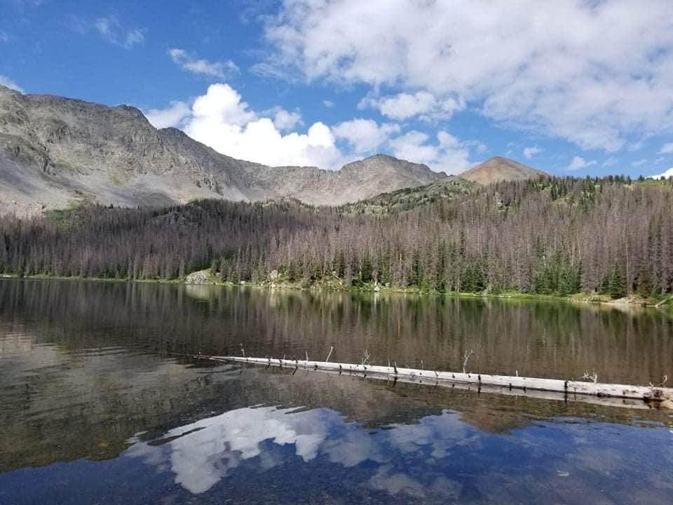 Escape to Nature's Embrace: Colorado's North Fork Campground