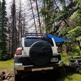 Review photo of North Fork Campground (Salida, Co) — Psicc by Roxi Franki L., July 30, 2021