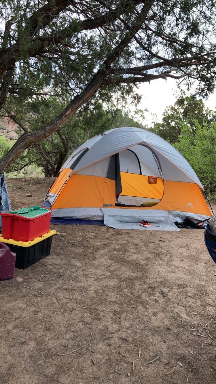 Camper submitted image from Whirlpool Dispersed Camping Area - 2