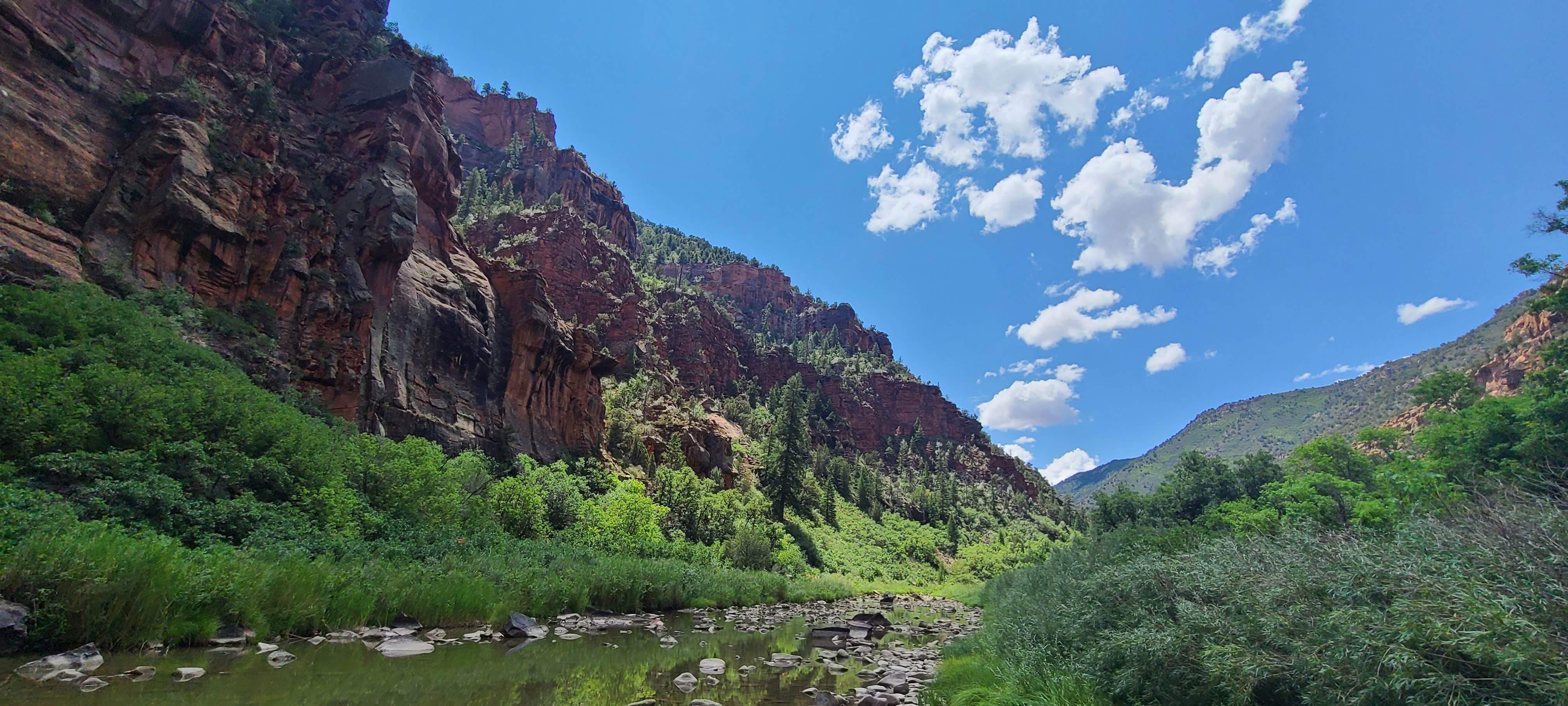 Camper-submitted photo at Box Elder near Nucla, CO