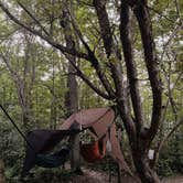 Review photo of Grafton Notch Campground by Andrew , July 30, 2021