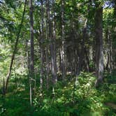 Review photo of Mauthe Lake Campground — Kettle Moraine State Forest-Northern Unit-Iansr by Debra M., July 30, 2021