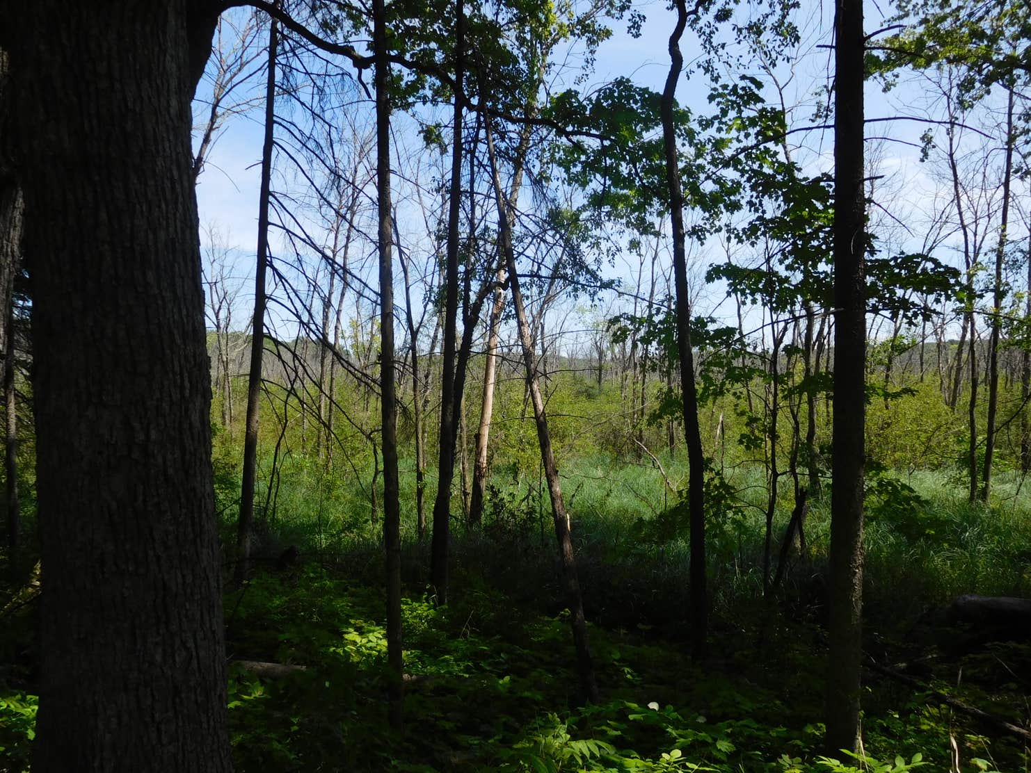 Kettle Moraine/Mauthe Lake The Dyrt