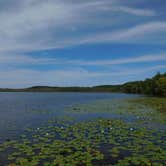 Review photo of Mauthe Lake Campground — Kettle Moraine State Forest-Northern Unit-Iansr by Debra M., July 30, 2021