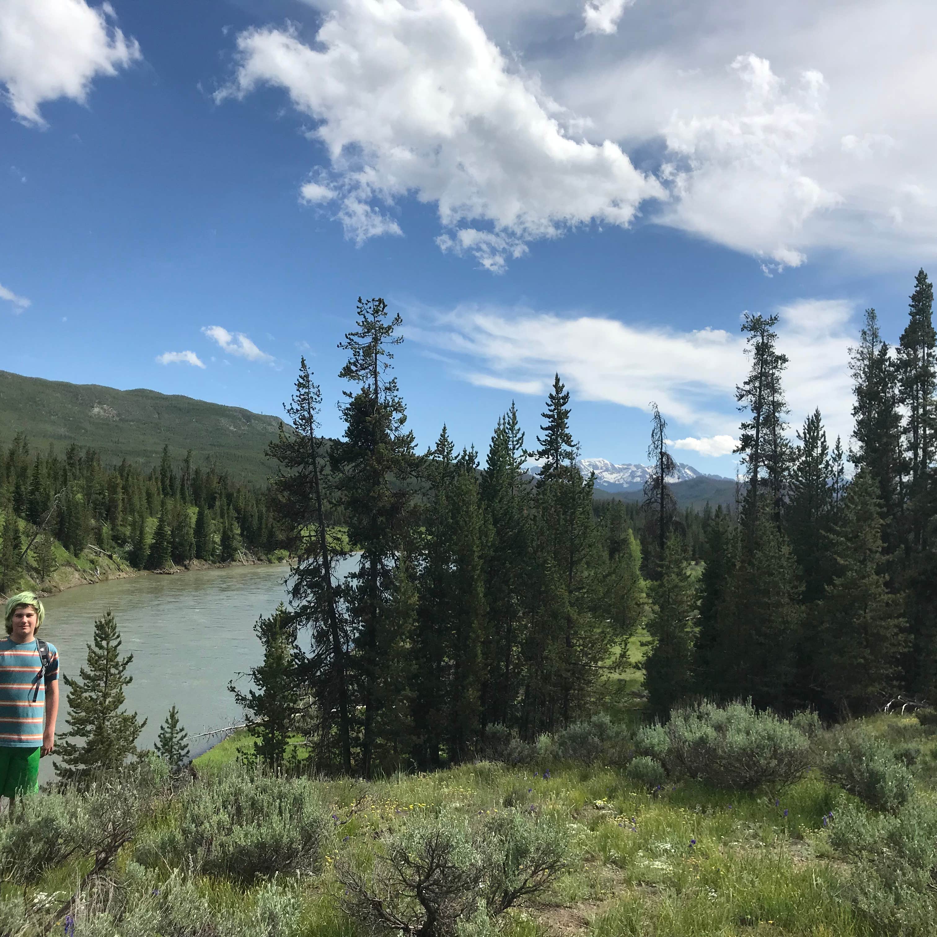 Headwaters Campground at Flagg Ranch Camping  The Dyrt