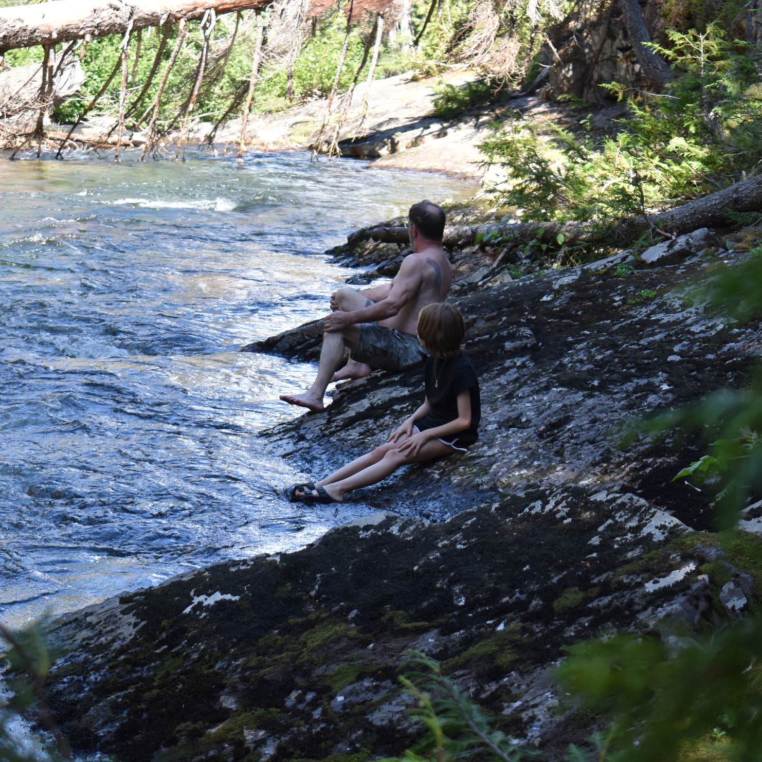 Lodgepole Campground (washington) Naches, WA