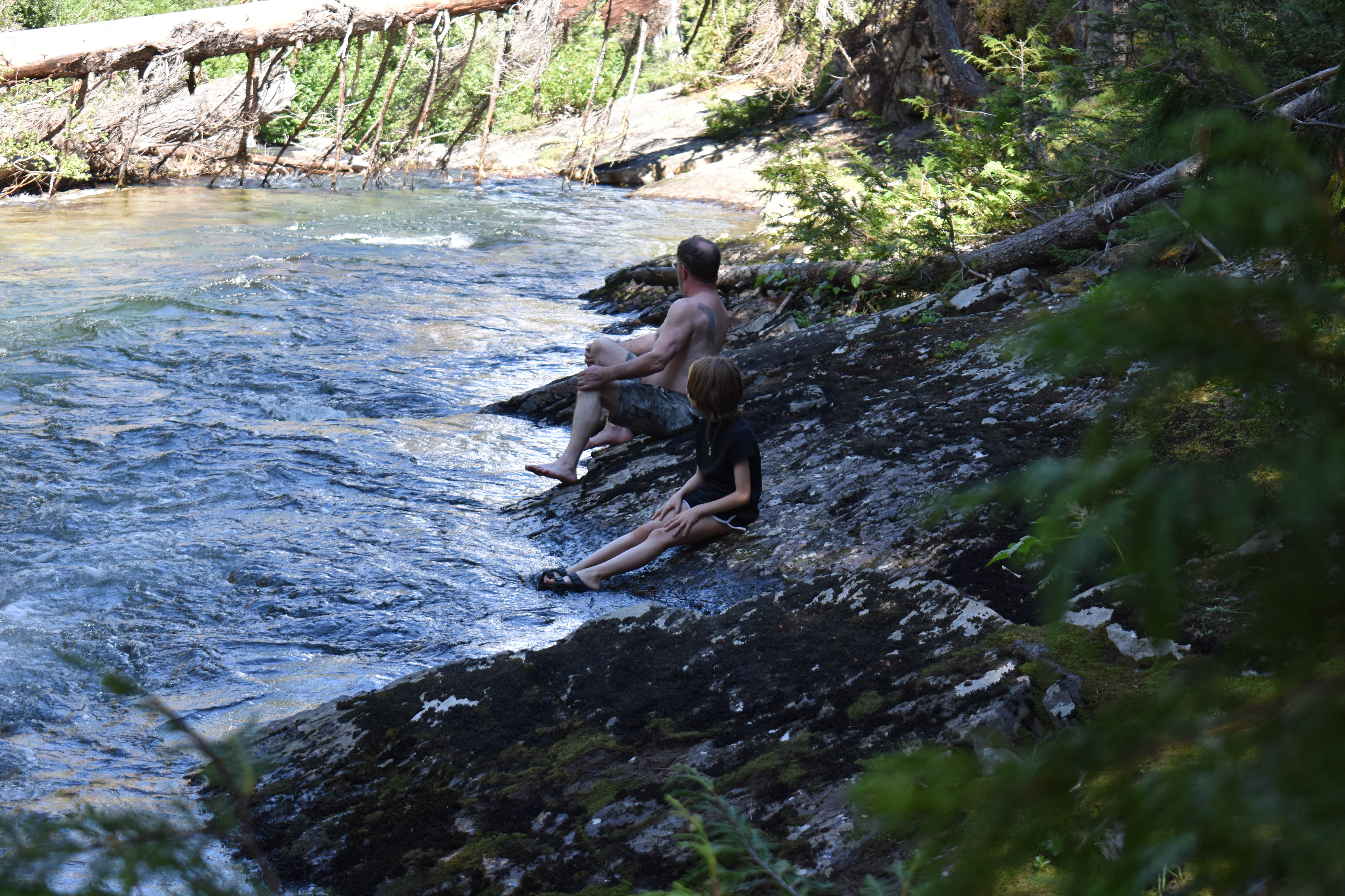 Camper submitted image from Lodgepole Campground (washington) - 3