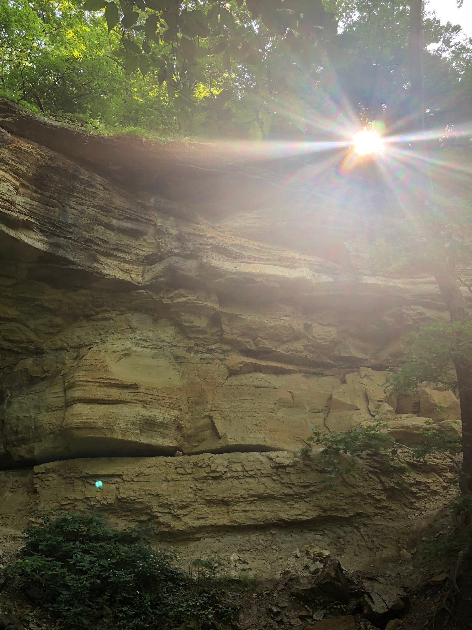 Camper submitted image from Clifty Falls State Park Campground - 5