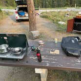 Review photo of Soda Butte Campground by Dave L., July 30, 2021