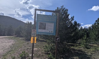 Camping near Highline Trailhead: Grizzly Ridge Meadow Dispersed Area, Ashley National Forest, Utah