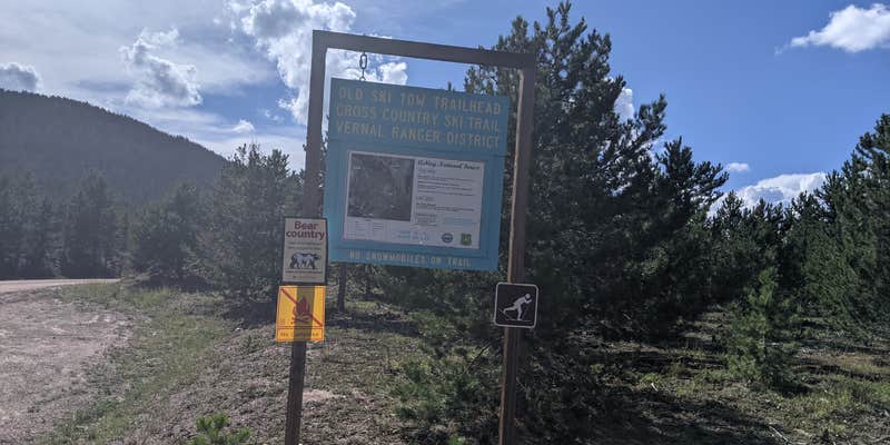 Camper submitted image from Grizzly Ridge Meadow Dispersed Area