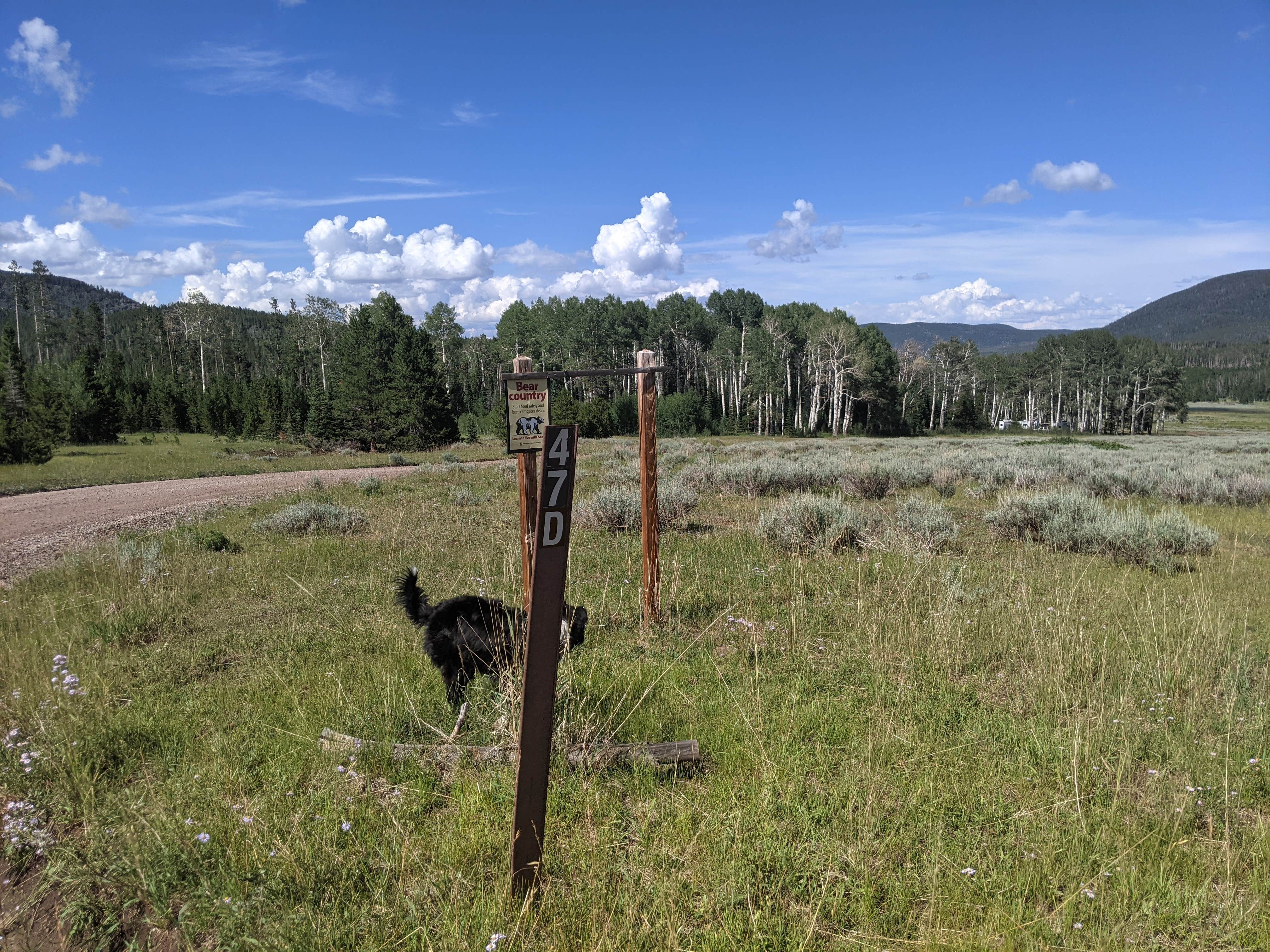Greg L.'s photo of a dispersed camping area at Grizzly Ridge Meadow Dispersed Area near Neola, UT