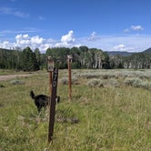 Review photo of Grizzly Ridge Meadow Dispersed Area by Greg L., July 30, 2021