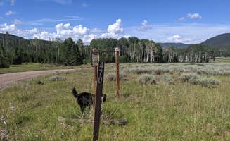 Greg L.'s photo of a dispersed camping area at Grizzly Ridge Meadow Dispersed Area near Vernal, UT